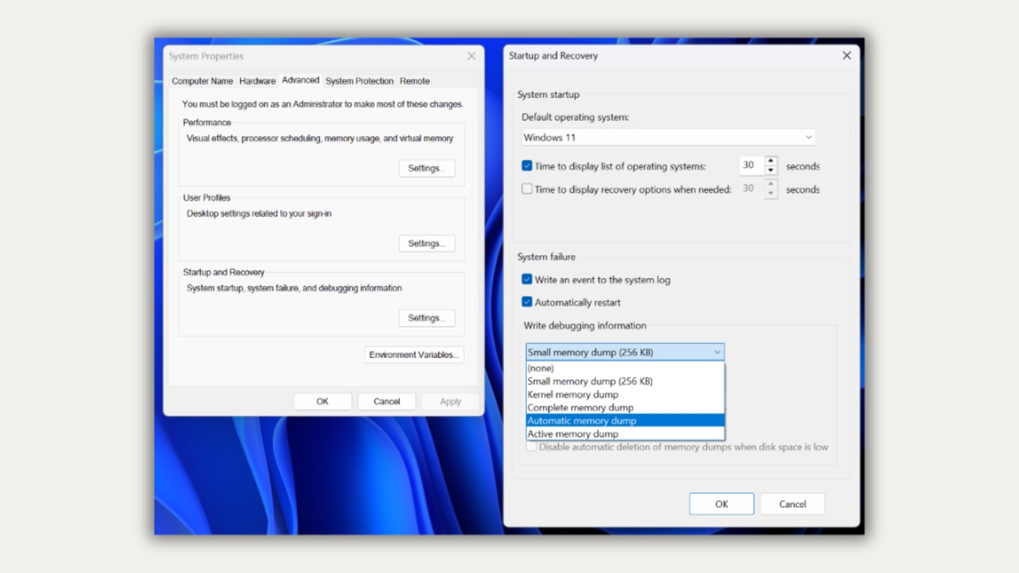 Windows 11 saves an automatic memory dump by default, which relies on the page file